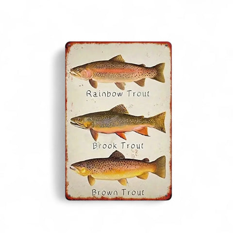 Retro Blechschild mit Rainbow Trout, Brook Trout und Brown Trout