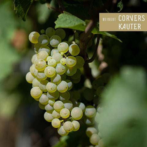 Corvers Kauter Baiken - Riesling 2024