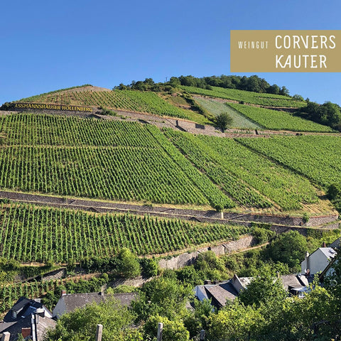 Weingut Corvers-Kauter im Rheingau